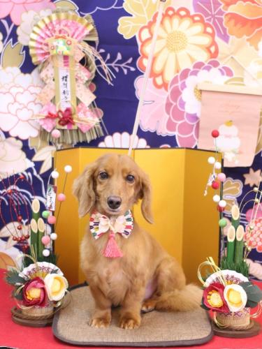 20240114しろくん